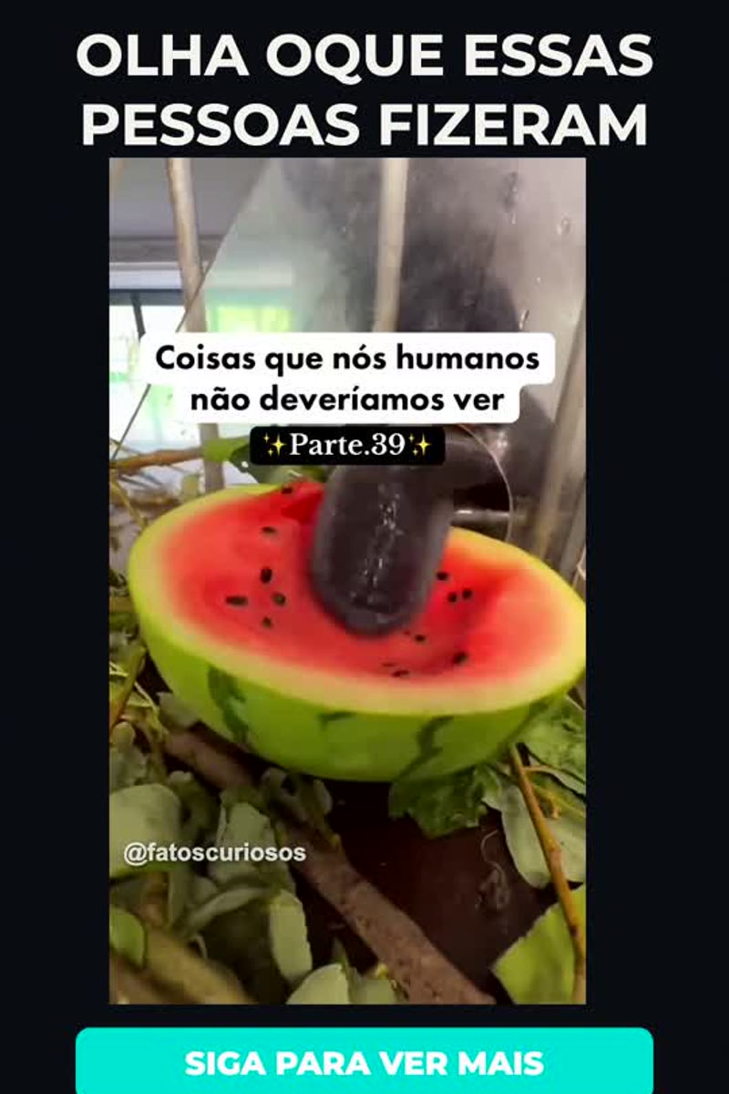 Vídeo feito pelo programa